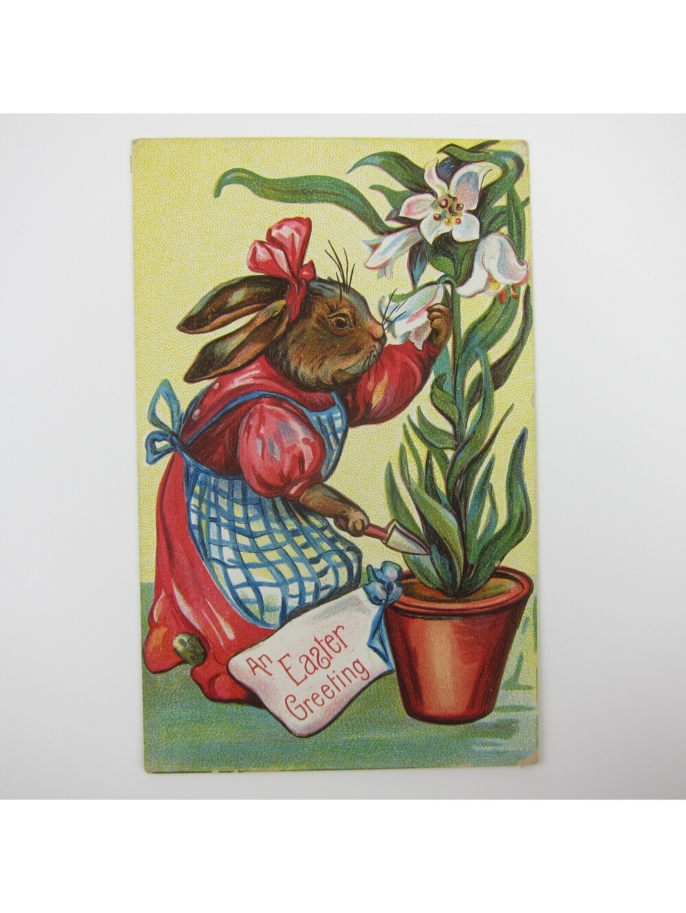 Easter Postcard Anthropomorphic Rabbit in Apron Lily Flower in Pot Antique 1910